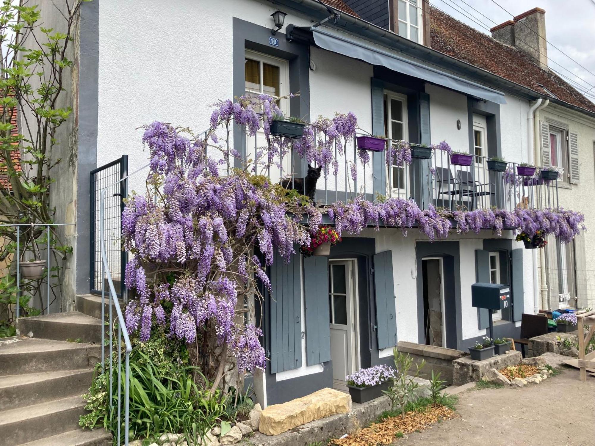 Le Lodge De Serenite Cuffy 外观 照片
