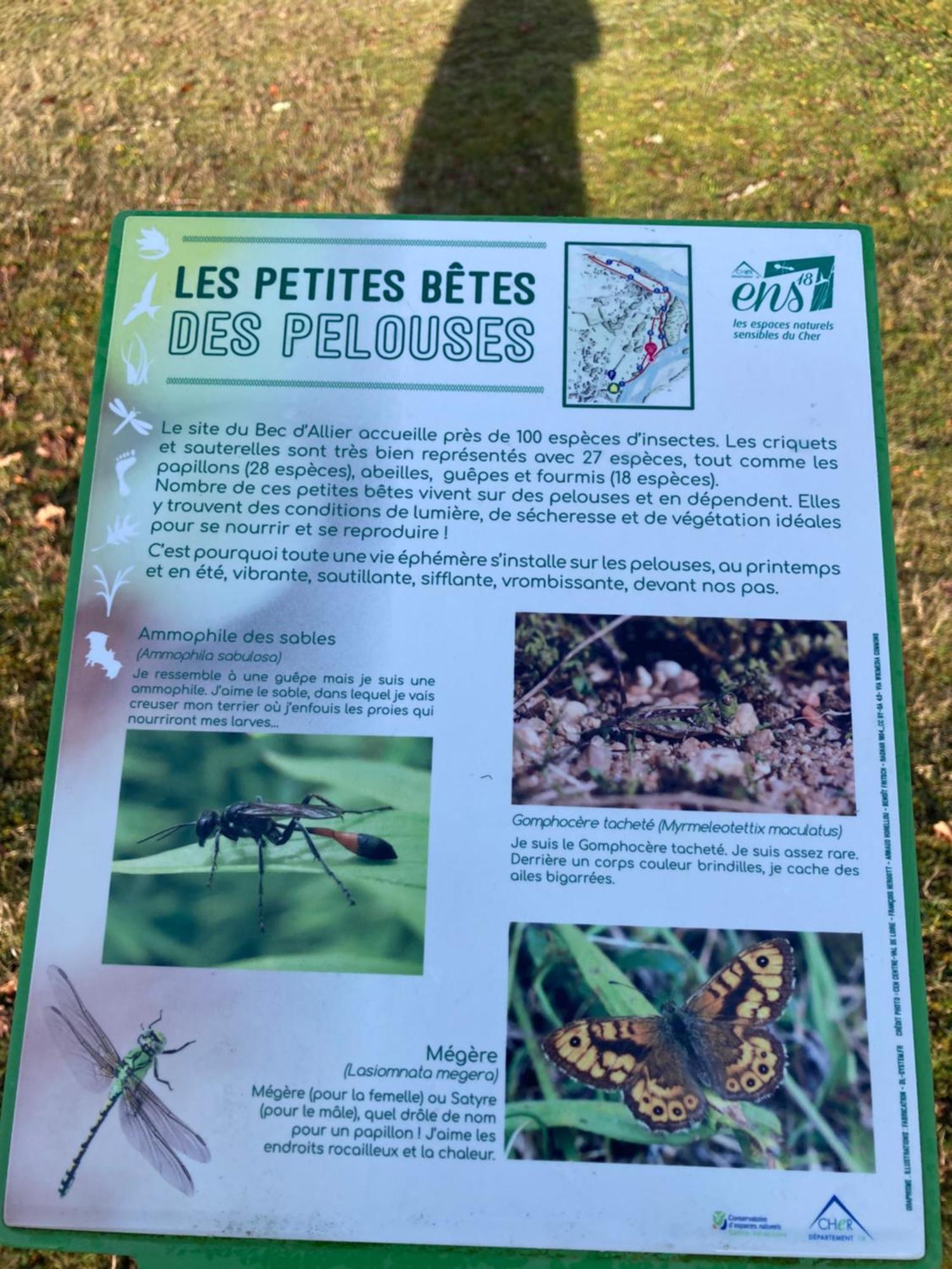 Le Lodge De Serenite Cuffy 外观 照片